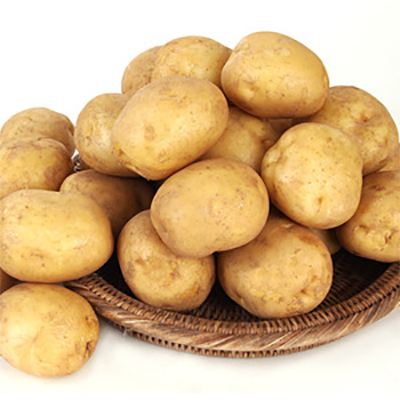 2013년 고향햇감자 ( 대 ) 5kg
